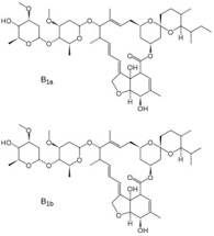 Ivermectin_skeletal