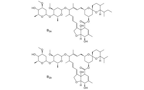 Ivermectin_skeletal