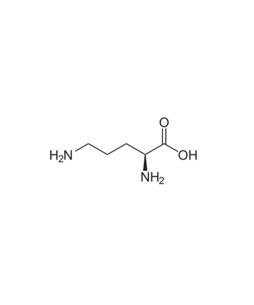 L-Ornithine