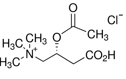 acetyl-l-carnitine-hcl-product
