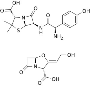 amoxicillin-clavulanate-potassium
