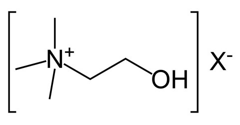 choline-bitartrate
