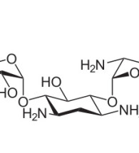 gentamicin-sulfate