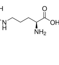 l-arginine-hcl-product
