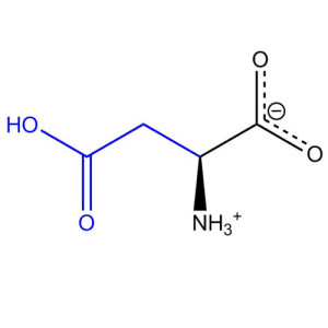 l-aspartic-acid
