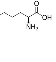 l-lysine-hcl-product