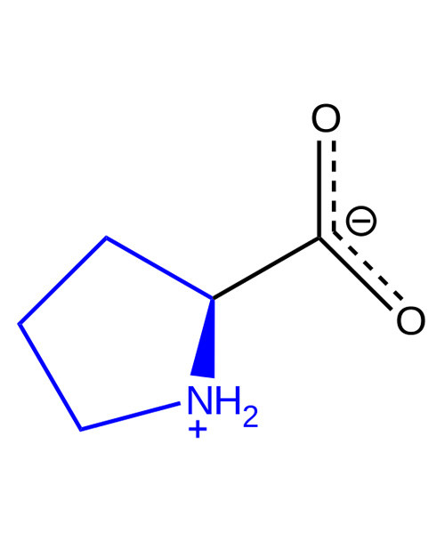 l-proline