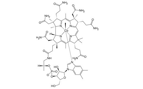 mecobalamin-coenzyme-B12
