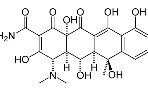 oxytetracycline-base