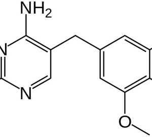 trimethoprim-lactate-product